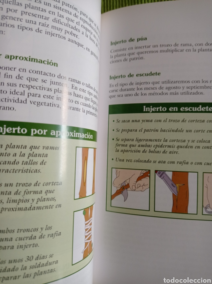 Libros de segunda mano: Jardiner&iacute;a dom&eacute;stica - Foto 5