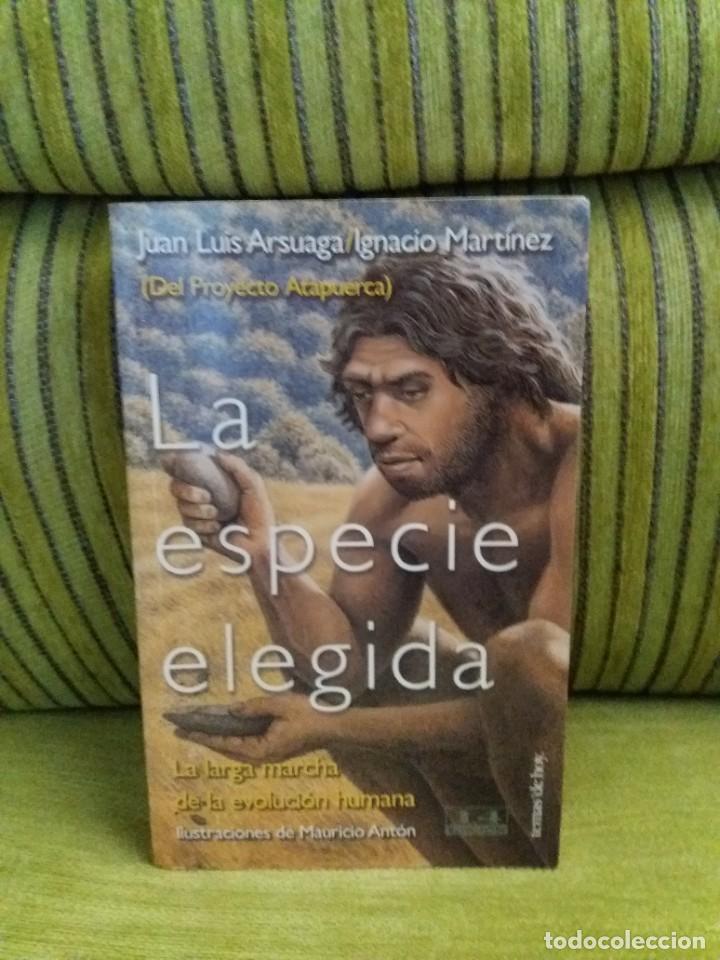 Libros de segunda mano: LA ESPECIE ELEGIDA Arsuaga - Foto 1