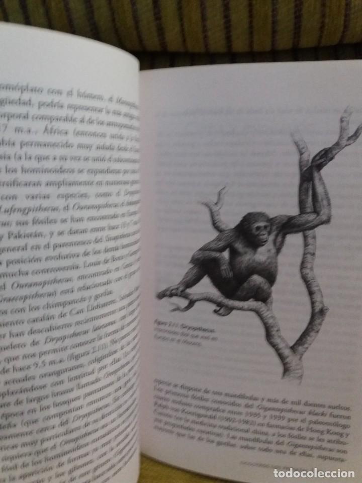 Libros de segunda mano: LA ESPECIE ELEGIDA Arsuaga - Foto 6
