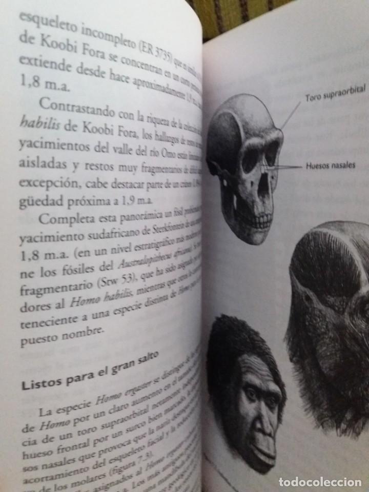 Libros de segunda mano: LA ESPECIE ELEGIDA Arsuaga - Foto 8