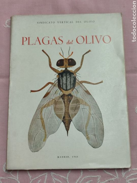 Livros em segunda m&atilde;o: Plagas del olivo. Francisco Rueda Nogueras, Enrique del Campo S&aacute;nchez. 1961