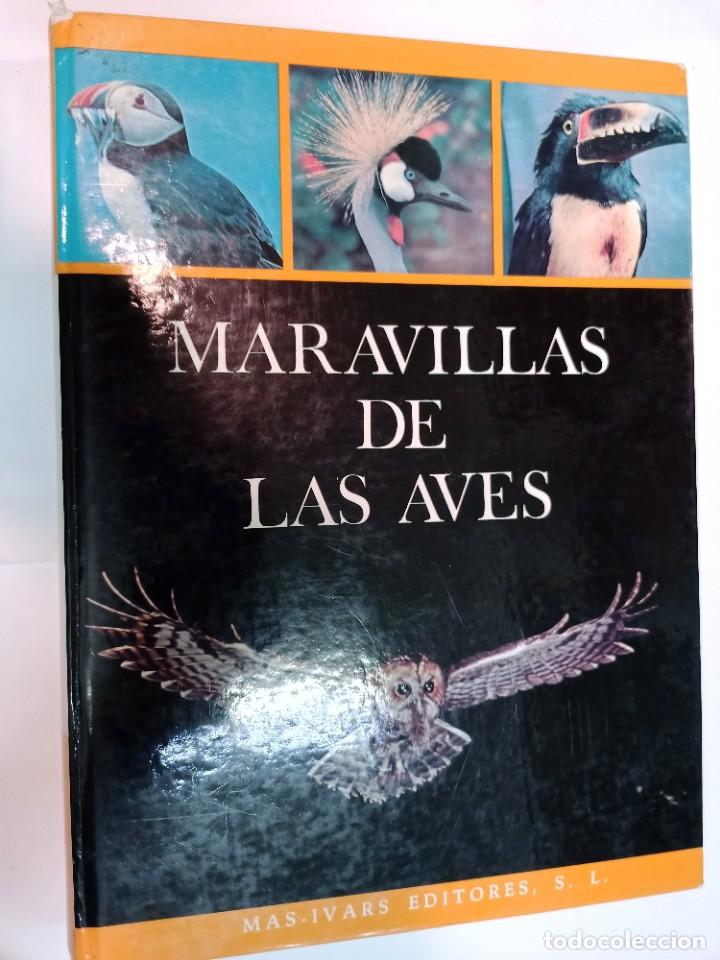 Libros de segunda mano: Maravillas de las aves SA9012 - Foto 1