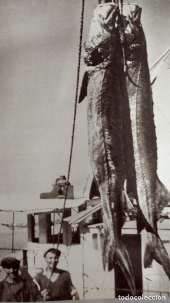 Libros de segunda mano: Gran enciclopedia ilustrada de los peces S.Frank - Foto 3