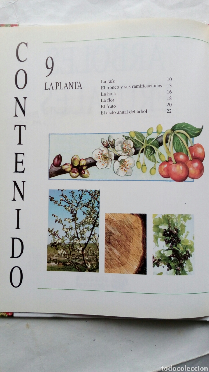 Libros de segunda mano: Gu&iacute;a para el cuidado de &aacute;rboles frutales. Eric Charton. - Foto 4