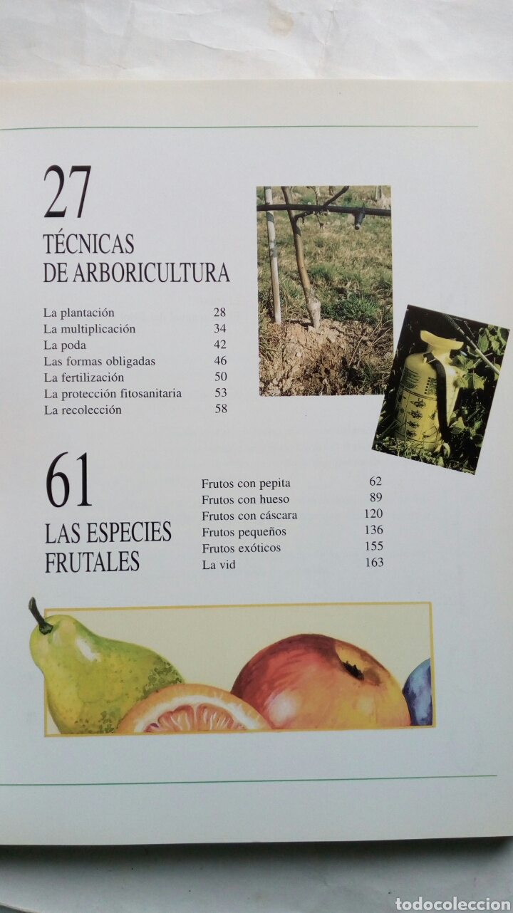 Libros de segunda mano: Gu&iacute;a para el cuidado de &aacute;rboles frutales. Eric Charton. - Foto 5