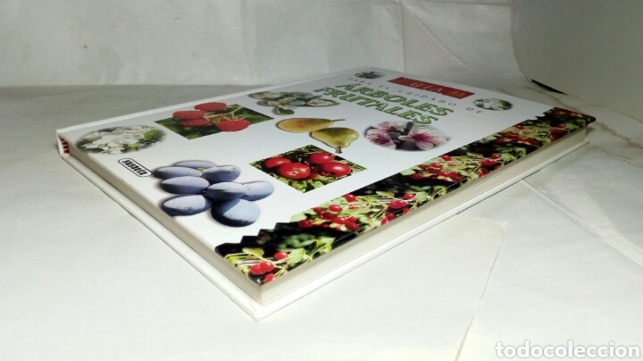 Libros de segunda mano: Gu&iacute;a para el cuidado de &aacute;rboles frutales. Eric Charton. - Foto 6