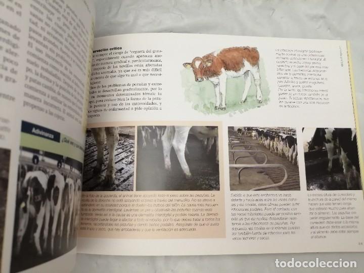 Libros de segunda mano: MANEJO DE LA RECR&Iacute;A - Foto 3