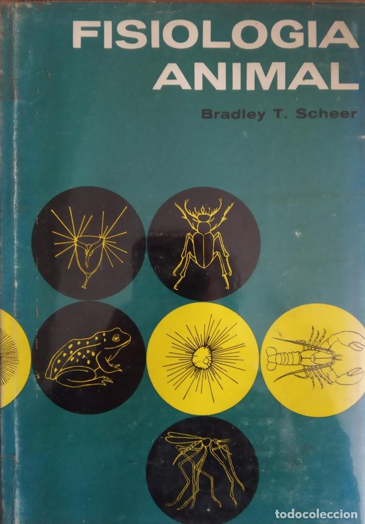 Libros de segunda mano: FISIOLOG&Iacute;A ANIMAL - BRADLEY T. SCHEER - Foto 1