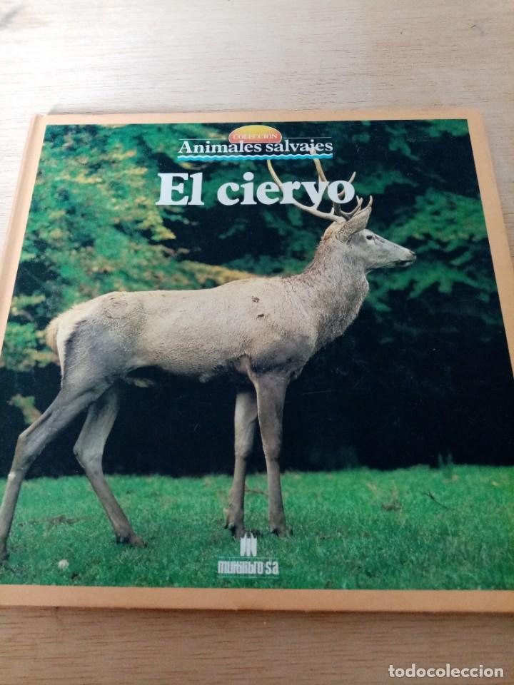 Libros de segunda mano: ANIMALES SALVAJES. EL CIERVO. EST31B2 - Foto 1