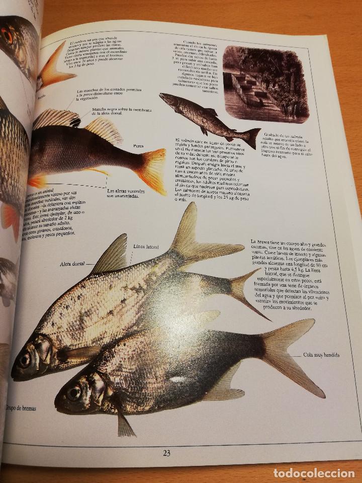 Libros de segunda mano: EL R&Iacute;O Y LA LAGUNA (STEVE PARKER) BIBLIOTECA VISUAL ALTEA - Foto 9
