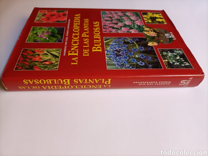 Libros de segunda mano: La enciclopedia de las plantas bulbosas - Foto 3