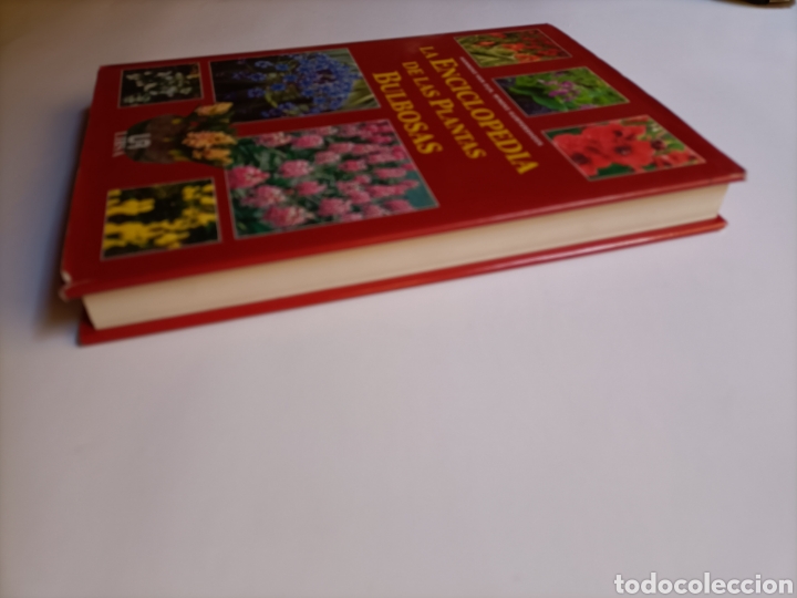 Libros de segunda mano: La enciclopedia de las plantas bulbosas - Foto 4