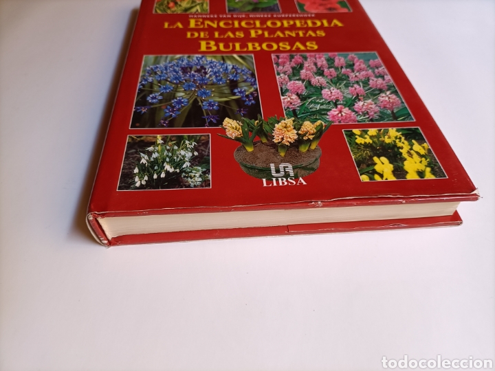 Libros de segunda mano: La enciclopedia de las plantas bulbosas - Foto 5
