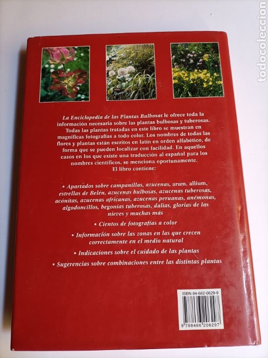 Libros de segunda mano: La enciclopedia de las plantas bulbosas - Foto 6