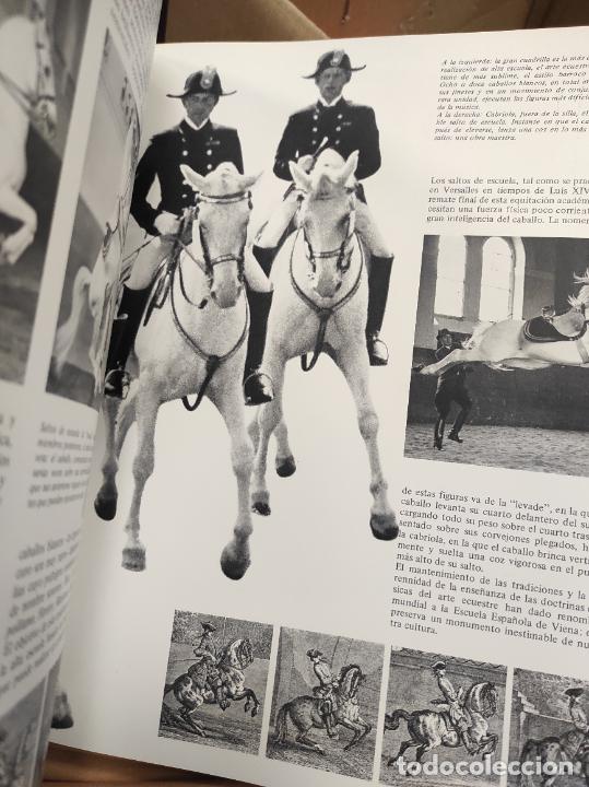Libros de segunda mano: El gran libro del caballo. H H Isenbart. E M Buhrer. - Foto 2