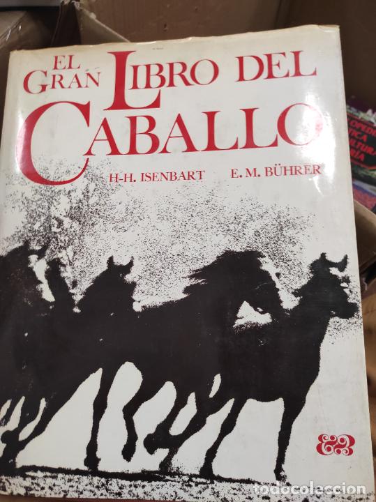Libros de segunda mano: El gran libro del caballo. H H Isenbart. E M Buhrer. - Foto 1