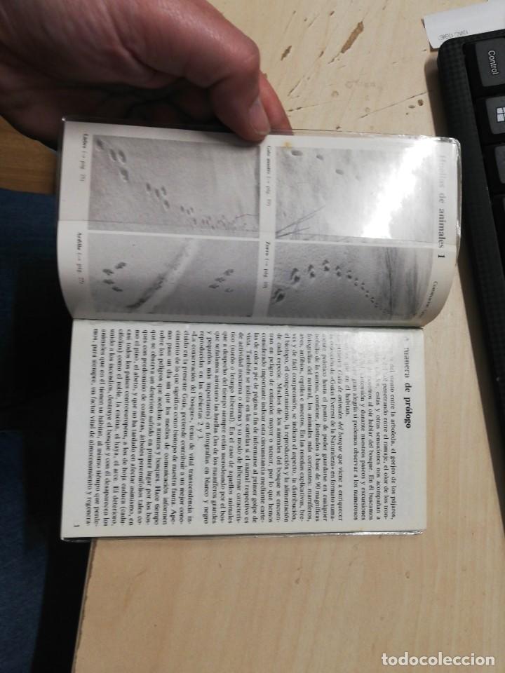 Libros de segunda mano: ANIMALES DEL BOSQUE - Singer,Detlef. EVEREST, 1989 - Foto 2