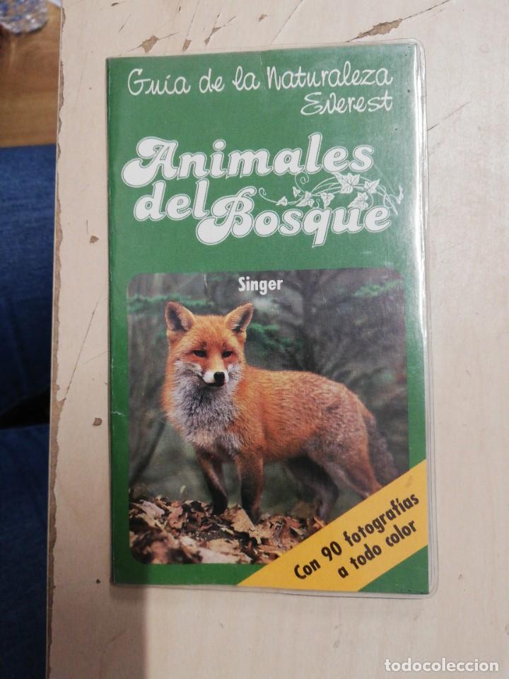 Libros de segunda mano: ANIMALES DEL BOSQUE - Singer,Detlef. EVEREST, 1989 - Foto 1