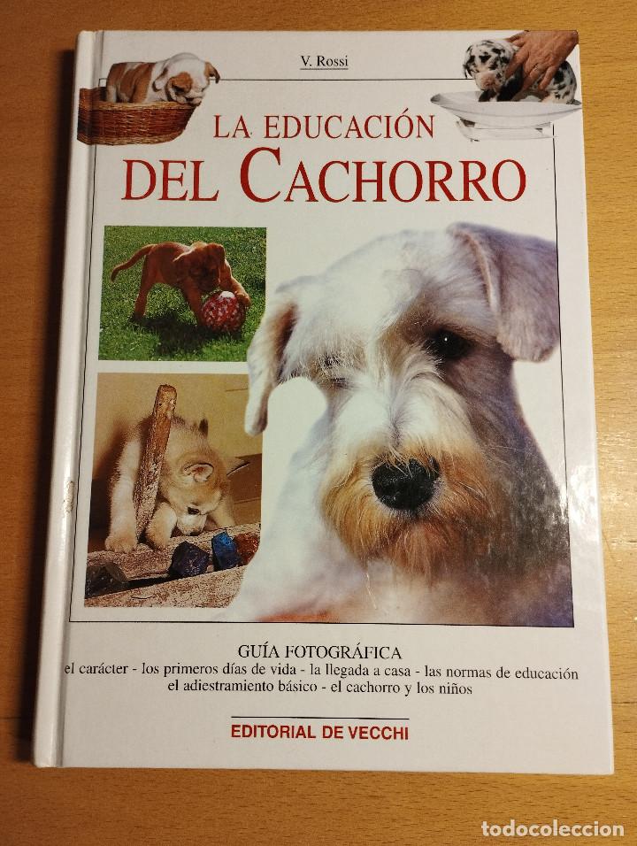 Libros de segunda mano: LA EDUCACI&Oacute;N DEL CACHORRO (VALERIA ROSSI) - Foto 1