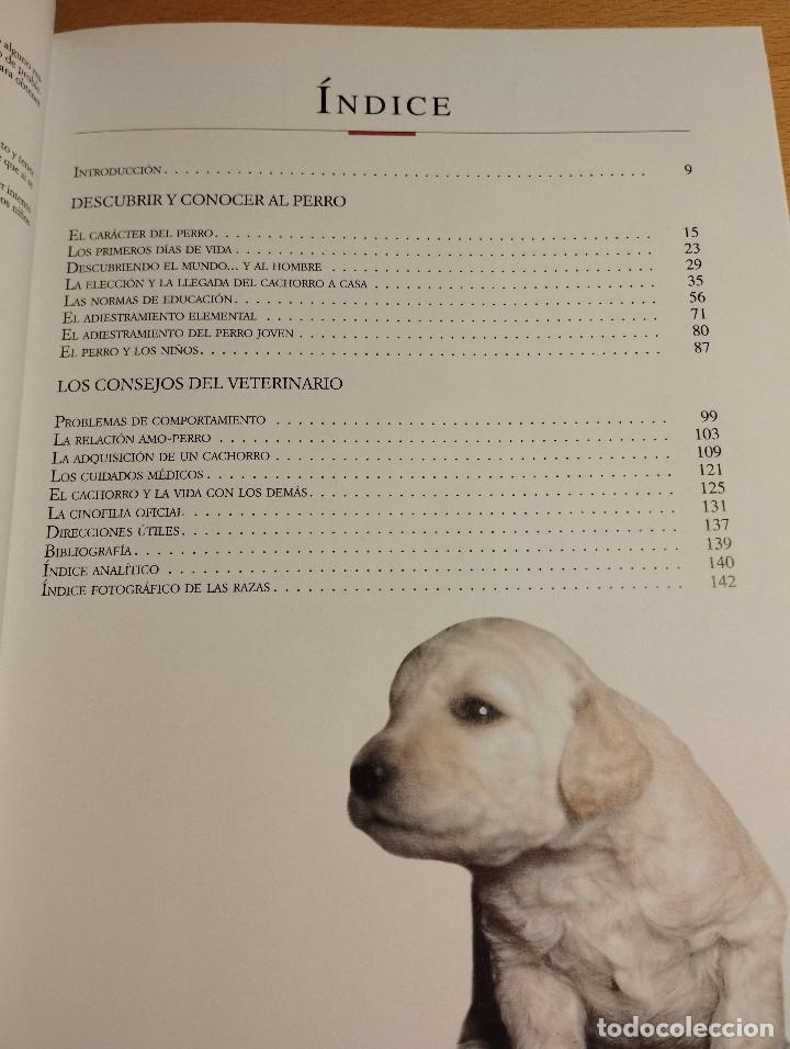 Libros de segunda mano: LA EDUCACI&Oacute;N DEL CACHORRO (VALERIA ROSSI) - Foto 3