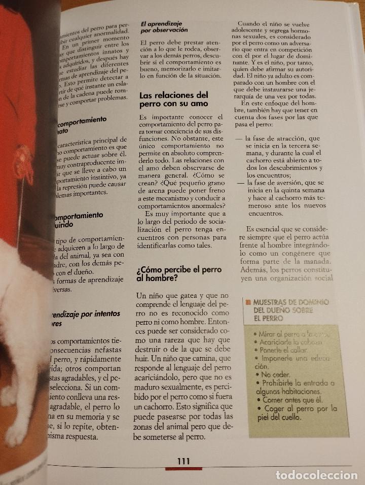 Libros de segunda mano: LA EDUCACI&Oacute;N DEL CACHORRO (VALERIA ROSSI) - Foto 4