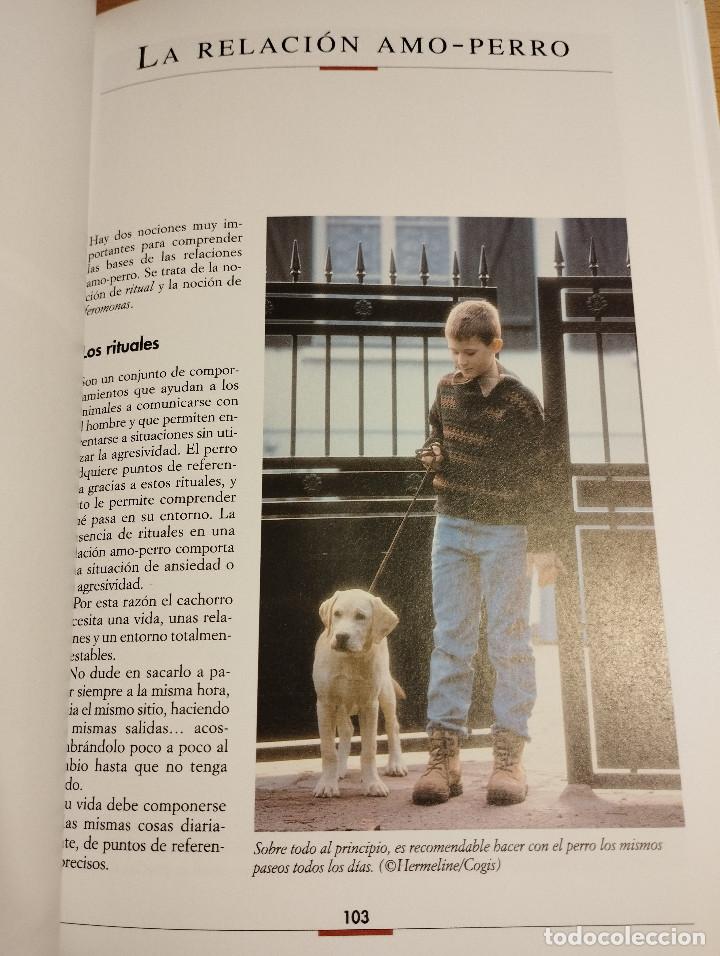 Libros de segunda mano: LA EDUCACI&Oacute;N DEL CACHORRO (VALERIA ROSSI) - Foto 5