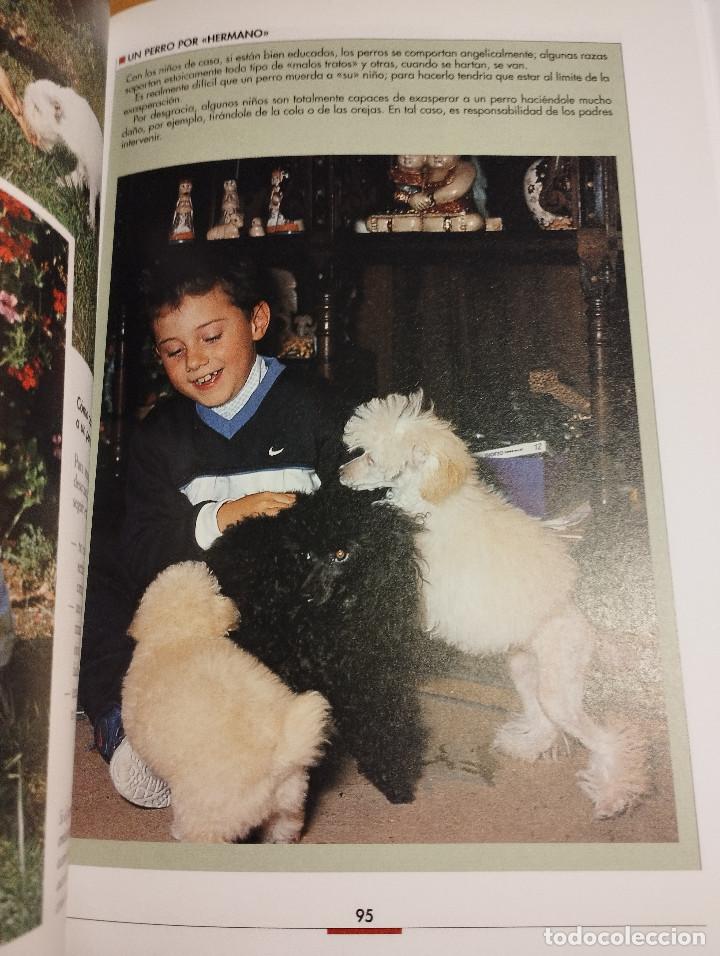 Libros de segunda mano: LA EDUCACI&Oacute;N DEL CACHORRO (VALERIA ROSSI) - Foto 6