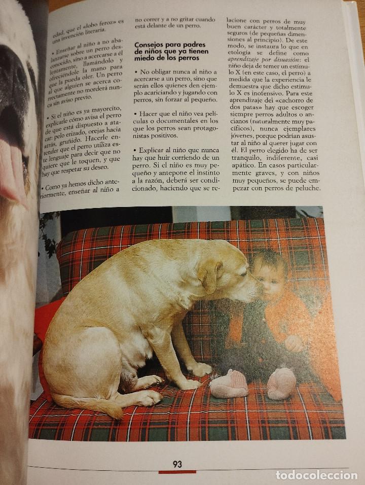Libros de segunda mano: LA EDUCACI&Oacute;N DEL CACHORRO (VALERIA ROSSI) - Foto 7