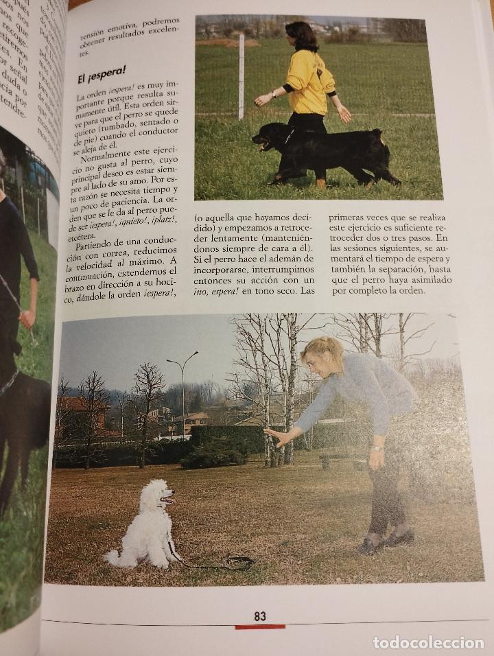 Libros de segunda mano: LA EDUCACI&Oacute;N DEL CACHORRO (VALERIA ROSSI) - Foto 8