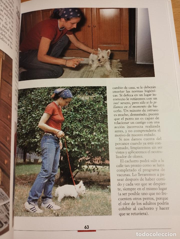 Libros de segunda mano: LA EDUCACI&Oacute;N DEL CACHORRO (VALERIA ROSSI) - Foto 9