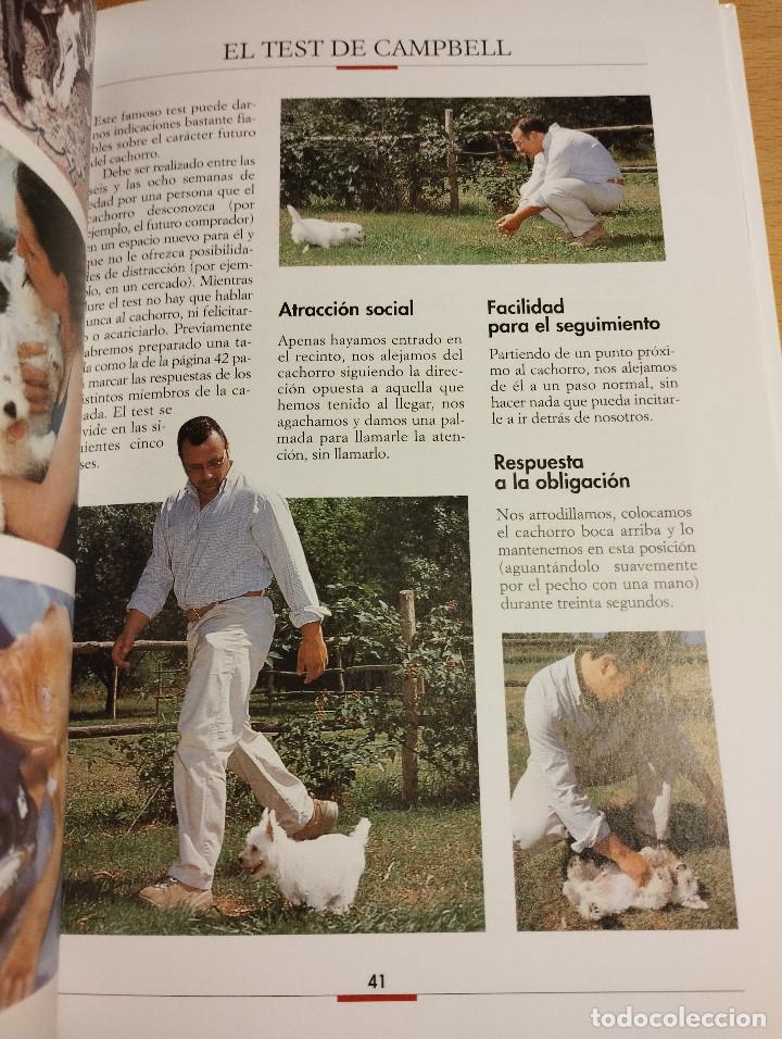 Libros de segunda mano: LA EDUCACI&Oacute;N DEL CACHORRO (VALERIA ROSSI) - Foto 10