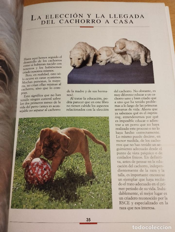 Libros de segunda mano: LA EDUCACI&Oacute;N DEL CACHORRO (VALERIA ROSSI) - Foto 11