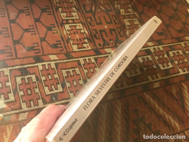 Libros de segunda mano: Flora silvestre de C&oacute;rdoba. Eugenio Dom&iacute;nguez - Foto 2