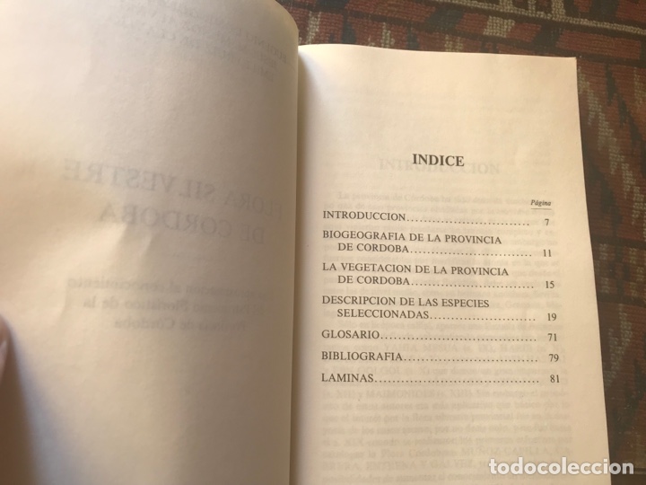 Libros de segunda mano: Flora silvestre de C&oacute;rdoba. Eugenio Dom&iacute;nguez - Foto 4