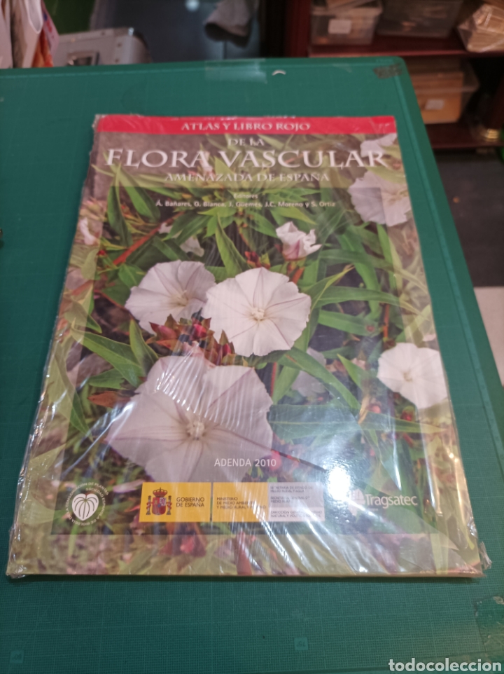 Libri di seconda mano: ATLAS Y LIBRO ROJO DE LA FLORA VASCULAR AMENAZADA DE ESPA&Ntilde;A .AGENDA2010
