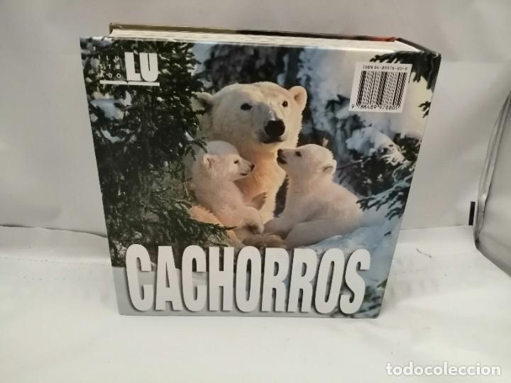Libros de segunda mano: CACHORROS (TAPA DURA) - Foto 2