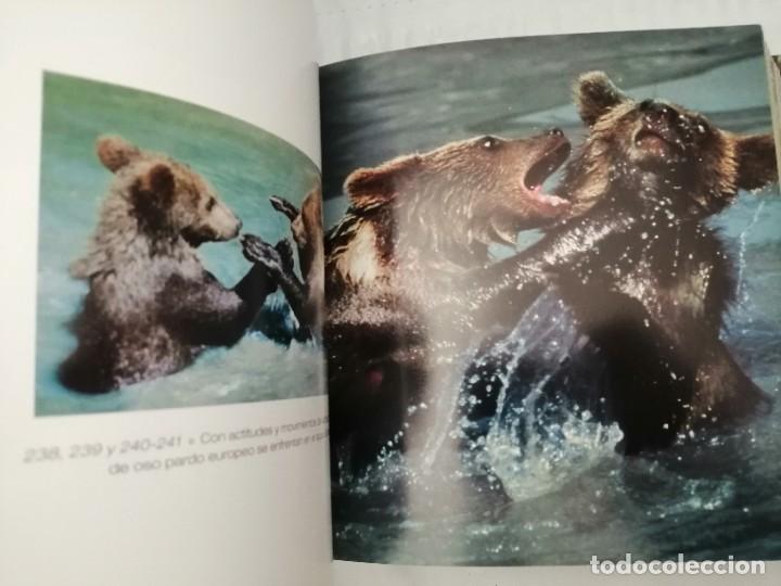 Libros de segunda mano: CACHORROS (TAPA DURA) - Foto 4
