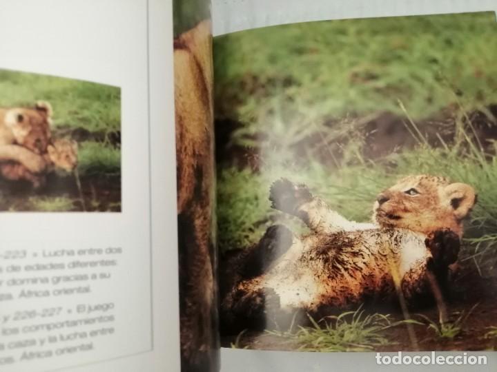 Libros de segunda mano: CACHORROS (TAPA DURA) - Foto 5