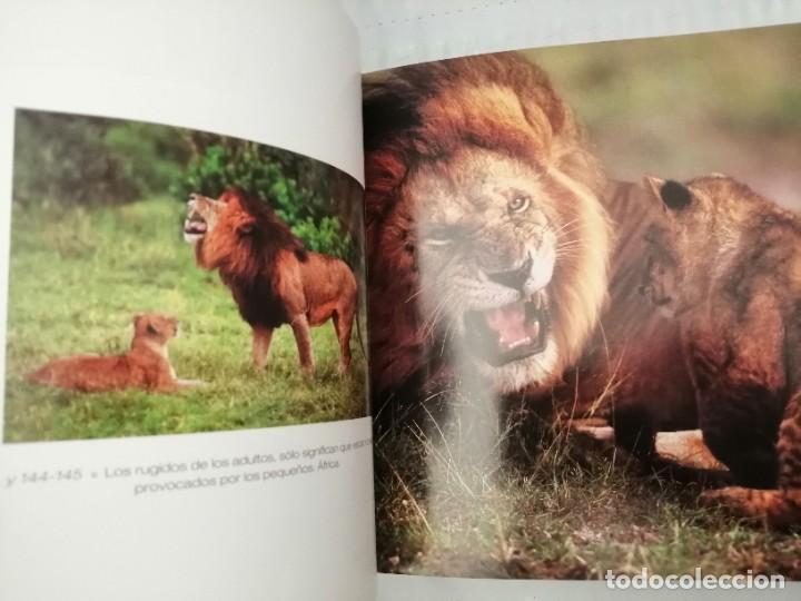 Libros de segunda mano: CACHORROS (TAPA DURA) - Foto 6