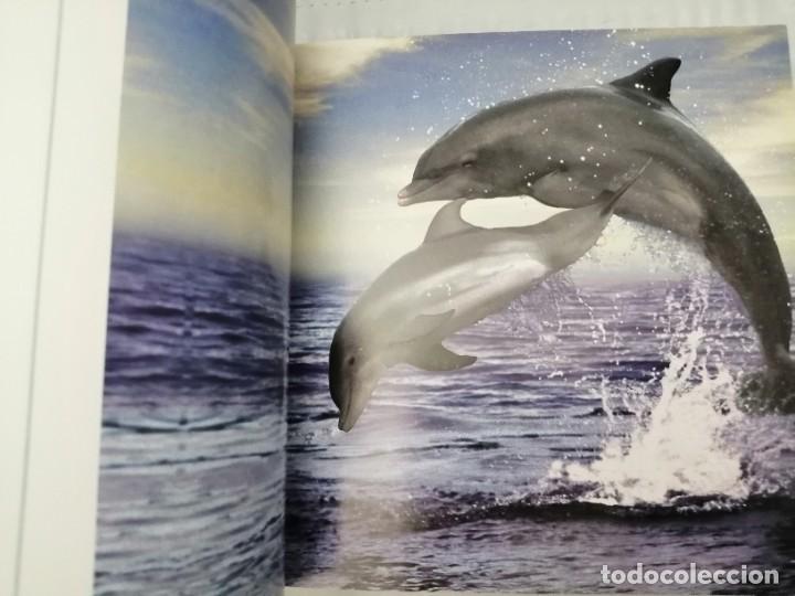 Libros de segunda mano: CACHORROS (TAPA DURA) - Foto 7