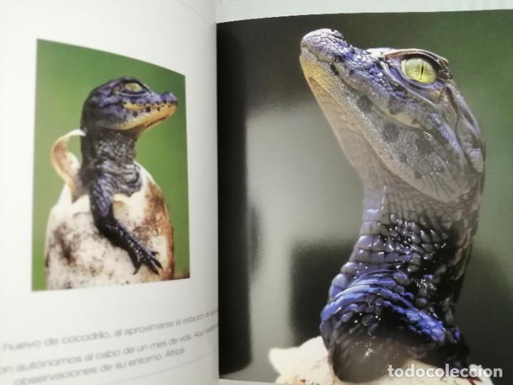 Libros de segunda mano: CACHORROS (TAPA DURA) - Foto 8