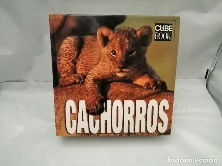 Libros de segunda mano: CACHORROS (TAPA DURA) - Foto 1