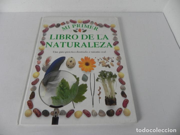 Libros de segunda mano: MI PRIMER LIBRO DE LA NATURALEZA )LIBRO GRAN FORMATO) EDIT. MOLINO-1990 - Foto 2