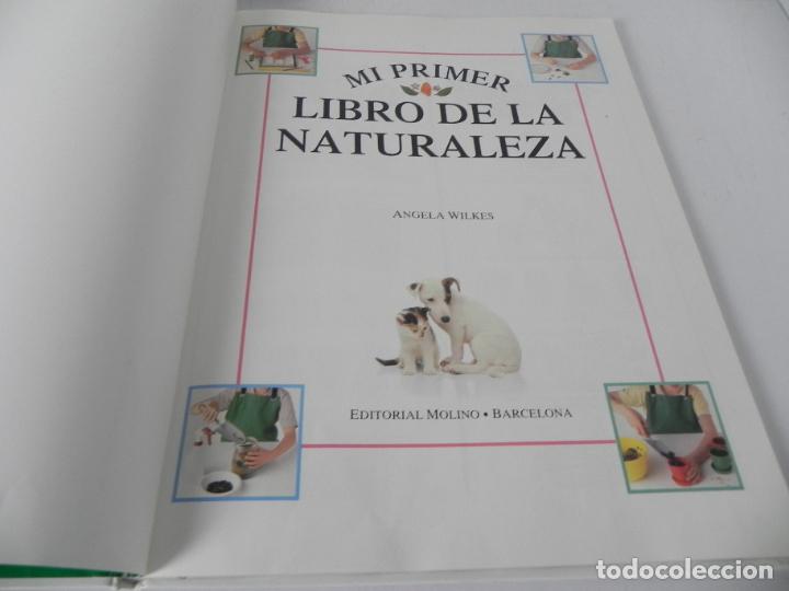Libros de segunda mano: MI PRIMER LIBRO DE LA NATURALEZA )LIBRO GRAN FORMATO) EDIT. MOLINO-1990 - Foto 3