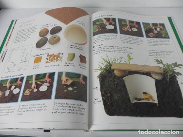 Libros de segunda mano: MI PRIMER LIBRO DE LA NATURALEZA )LIBRO GRAN FORMATO) EDIT. MOLINO-1990 - Foto 7