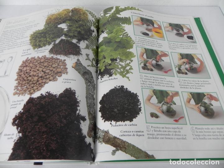 Libros de segunda mano: MI PRIMER LIBRO DE LA NATURALEZA )LIBRO GRAN FORMATO) EDIT. MOLINO-1990 - Foto 8