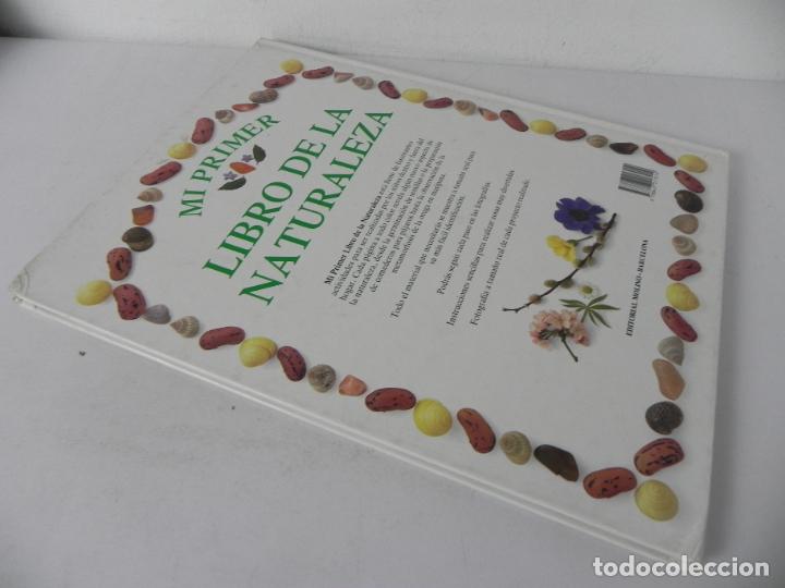 Libros de segunda mano: MI PRIMER LIBRO DE LA NATURALEZA )LIBRO GRAN FORMATO) EDIT. MOLINO-1990 - Foto 9