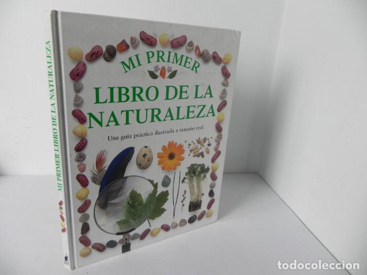 Libros de segunda mano: MI PRIMER LIBRO DE LA NATURALEZA )LIBRO GRAN FORMATO) EDIT. MOLINO-1990 - Foto 1