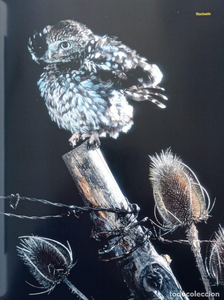 Libros de segunda mano: Naturaleza en acci&oacute;n. Jos&eacute; Luis Rodr&iacute;guez - Foto 4