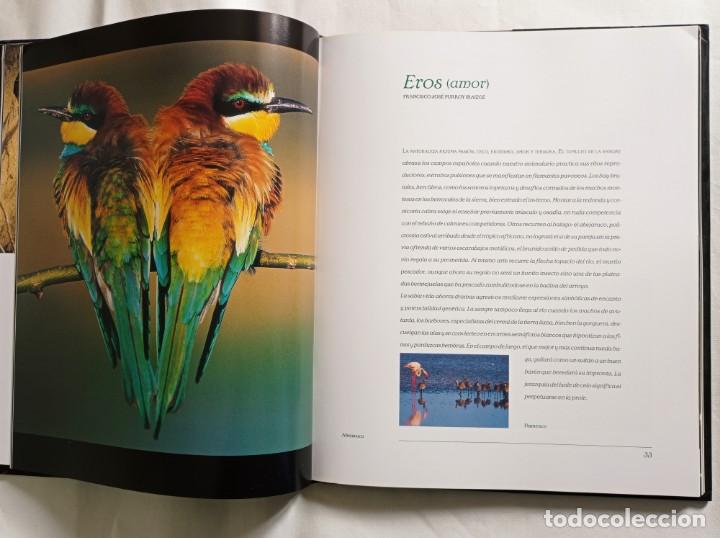 Libros de segunda mano: Naturaleza en acci&oacute;n. Jos&eacute; Luis Rodr&iacute;guez - Foto 5